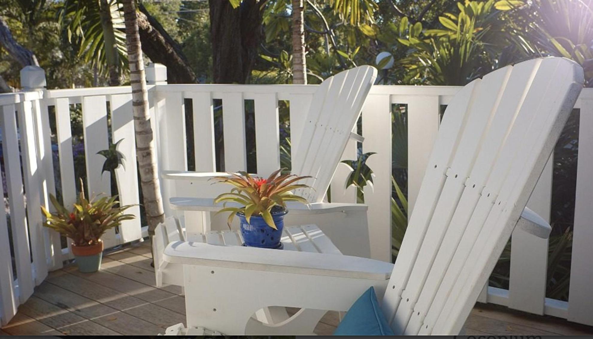 Coconut Palm Tavernier