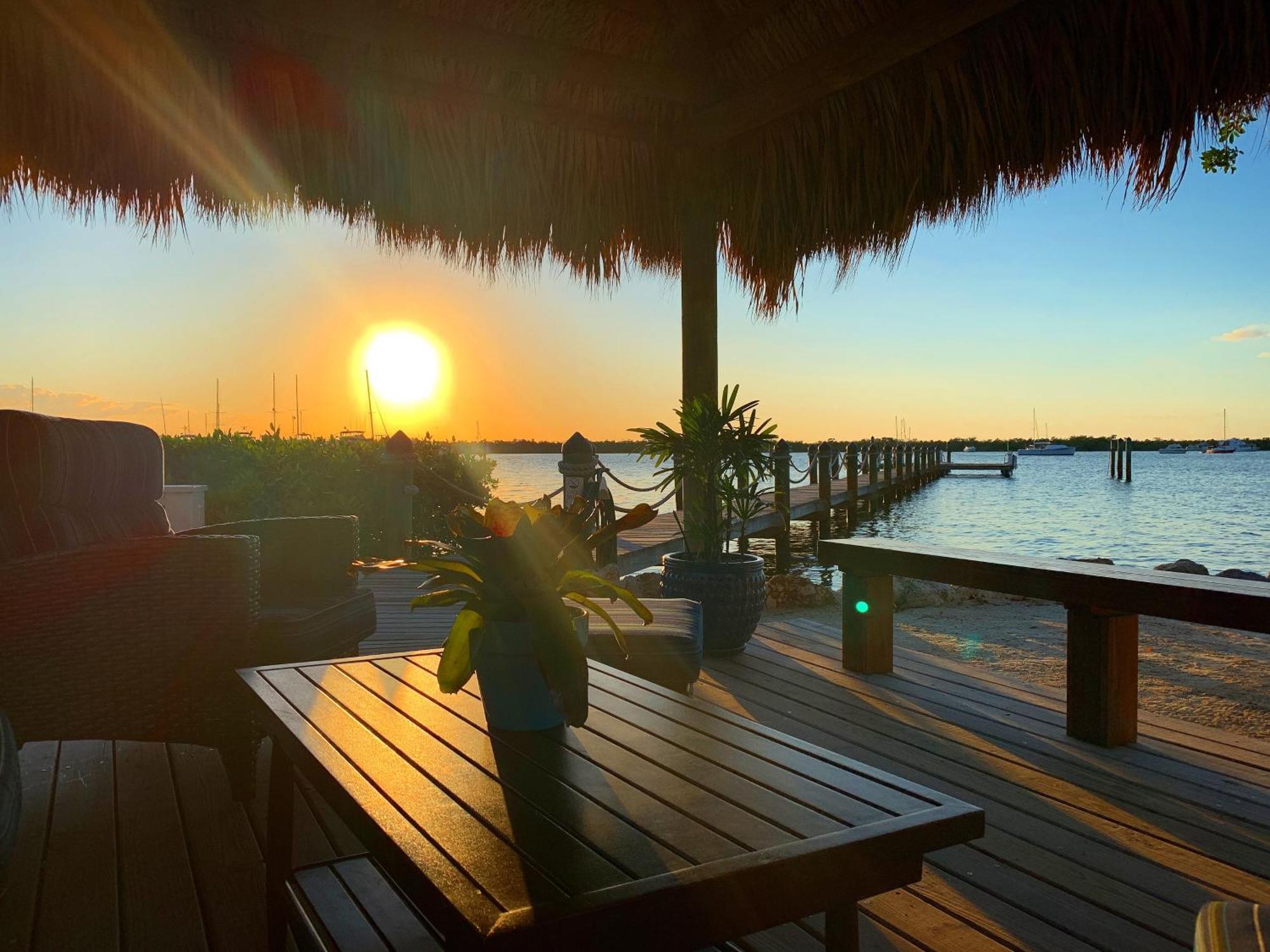 Coconut Palm Hotel