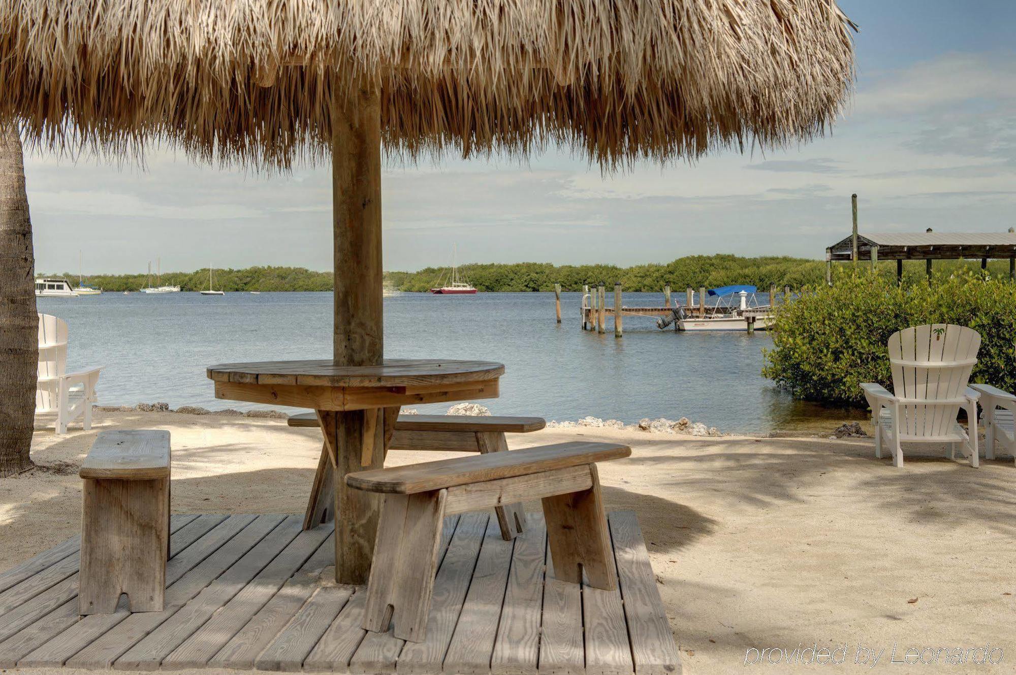 Hotel Coconut Palm