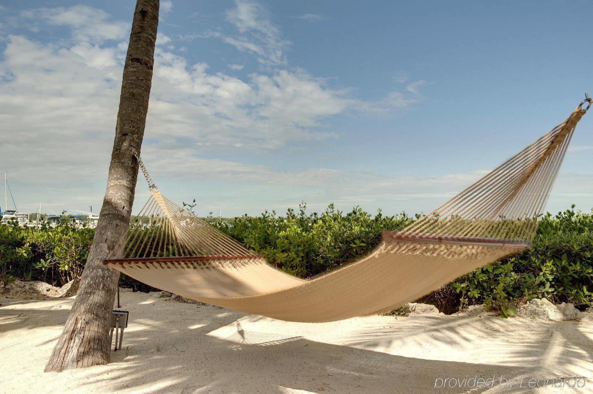 Coconut Palm Hotel 3*